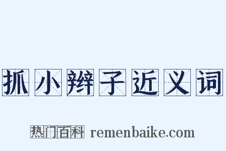 抓小辫子近义词是什么意思的图片